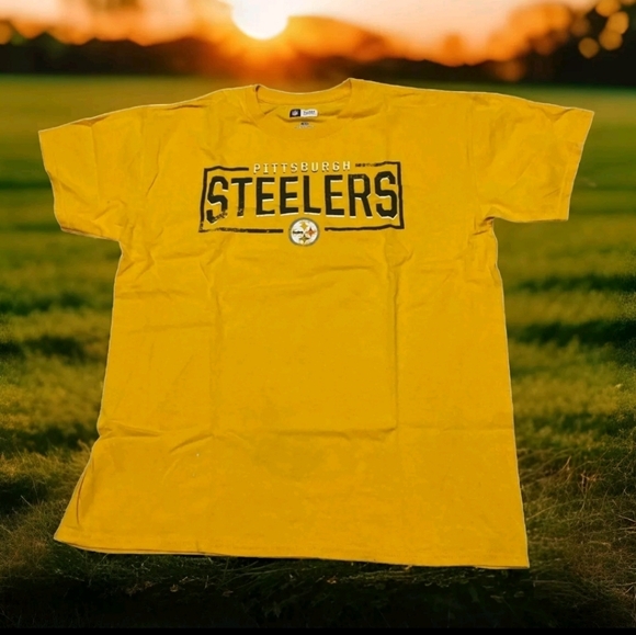 NFL Pittsburgh Steelers T-Shirt Team Apparel Yellow L sports football unisex - Picture 1 of 9